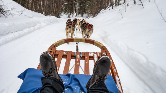 Travel with Hubbards: Winter Boots for Dog Sledding