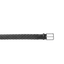 Links Belt